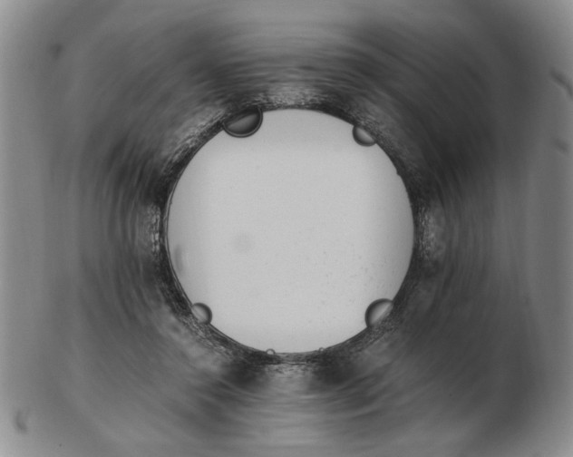 X0000102760356200809080946