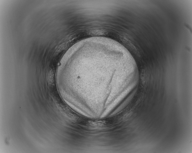 X0000102760359200809080946