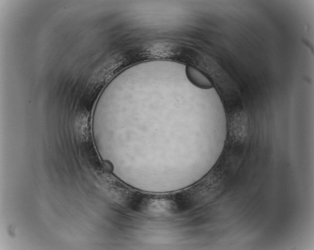 X0000102760360200809080946