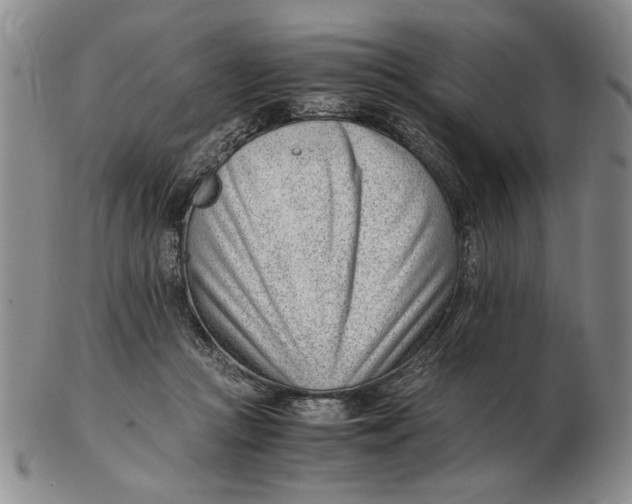 X0000102760361200809080946