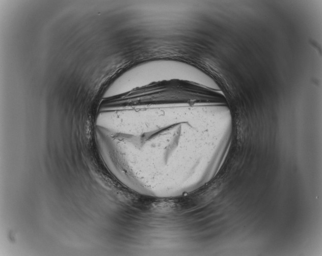 X0000102760362200809080946