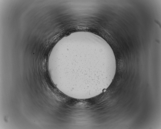 X0000102760364200809080946