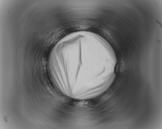 X0000102760366200809080946