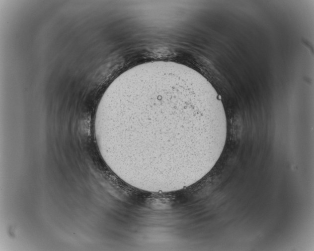 X0000102760368200809080946