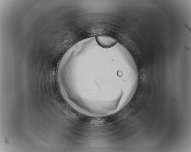 X0000102760369200809080947