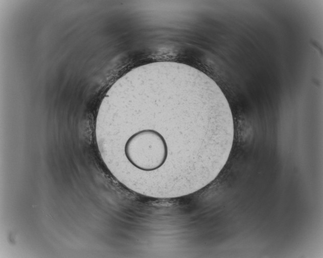 X0000102760370200809080947