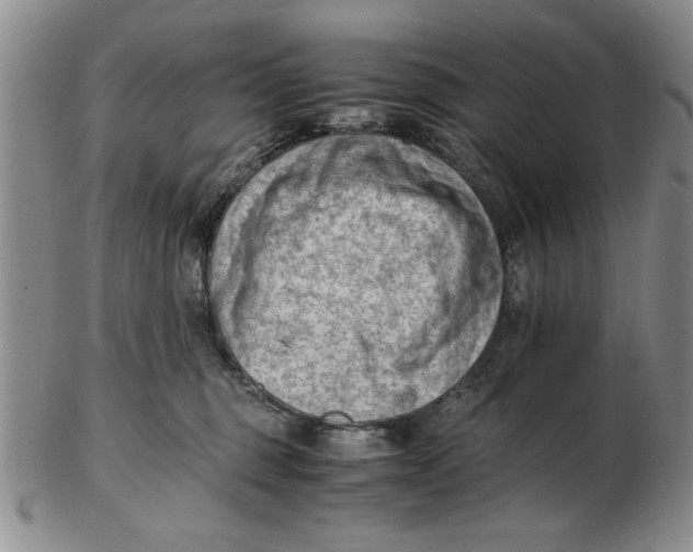 X0000102760375200809080947