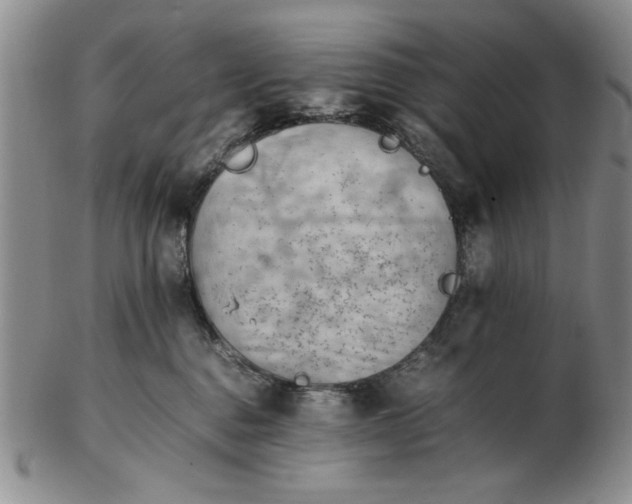 X0000102760376200809080947