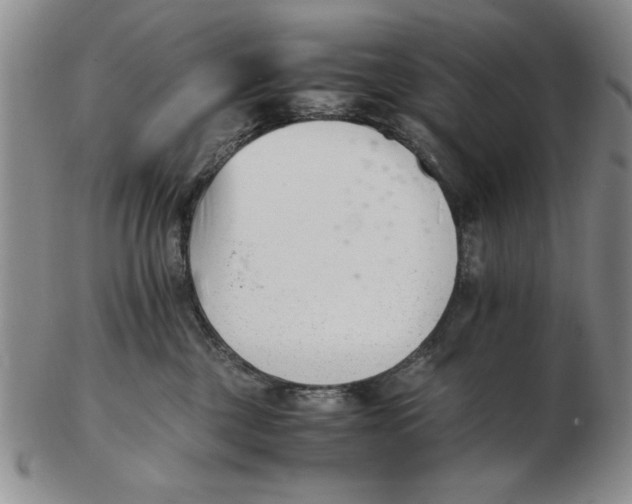 X0000102760377200809080947