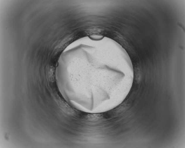 X0000102760378200809080947