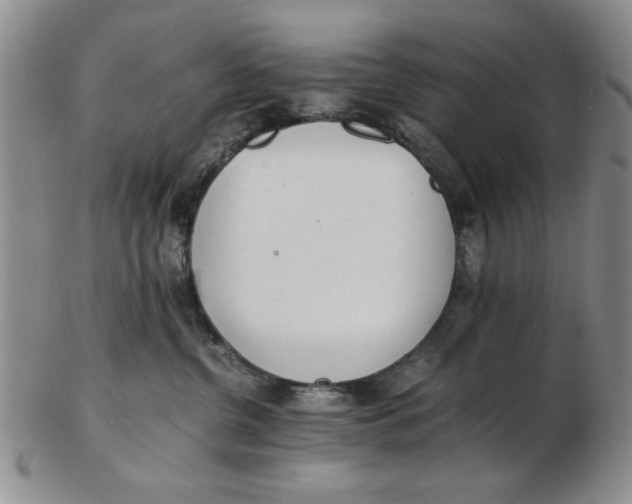 X0000102760380200809080947