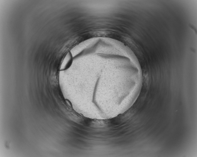 X0000102760381200809080947