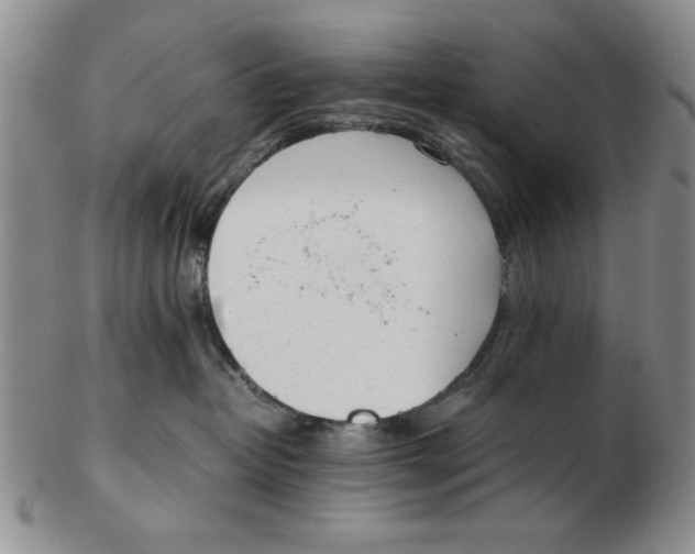 X0000102760382200809080947