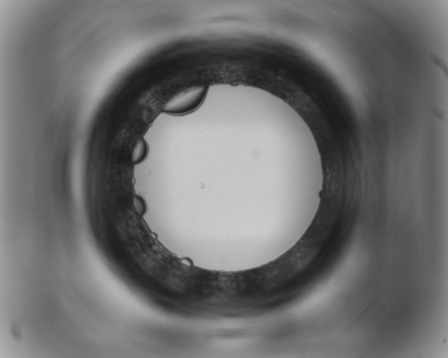 X0000102760383200809080947