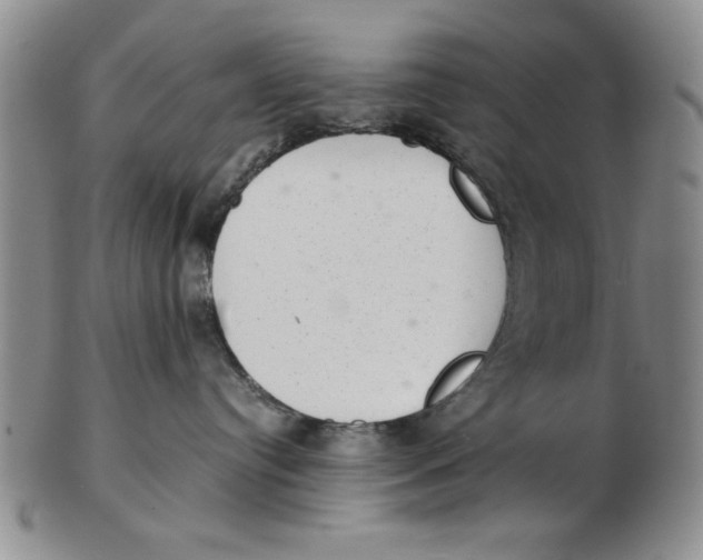 X0000102760384200809080947