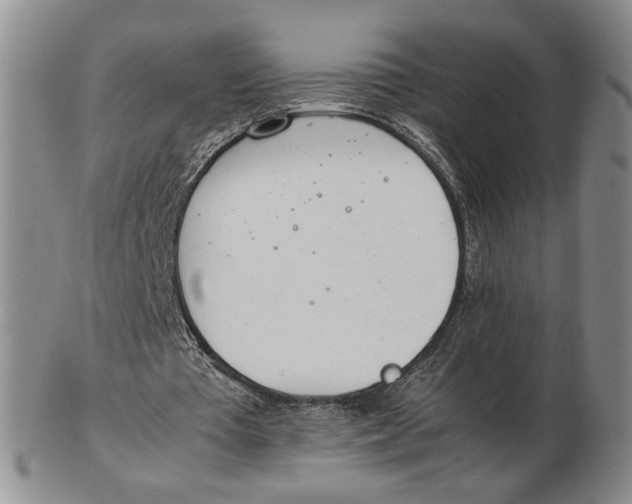 X0000102760385200809080946