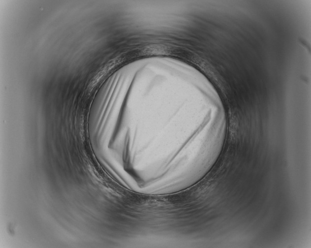 X0000102760386200809080946