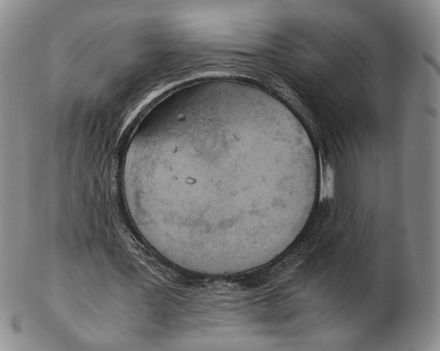 X0000102760387200809080946