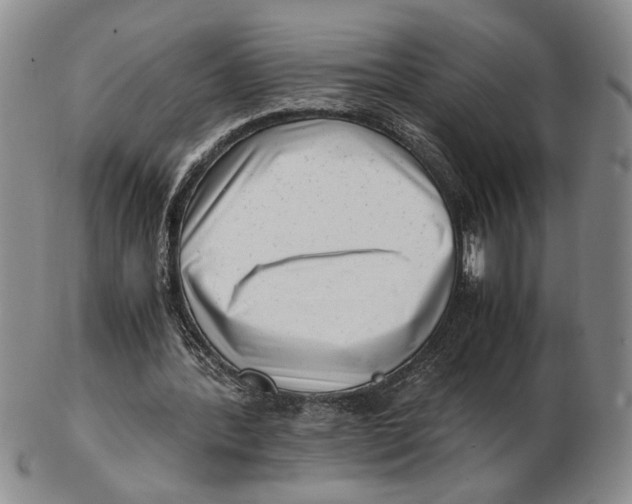 X0000102760388200809080946