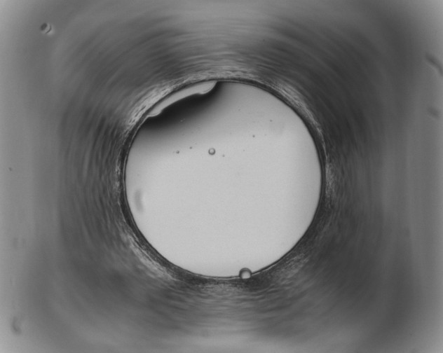 X0000102760389200809080946