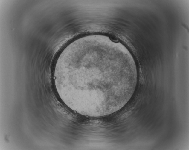 X0000102760391200809080946