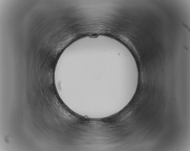 X0000102760393200809080946