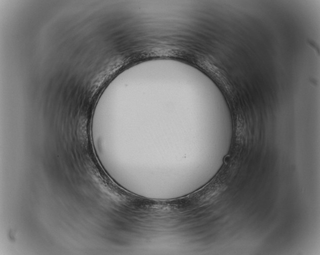 X0000102760394200809080946