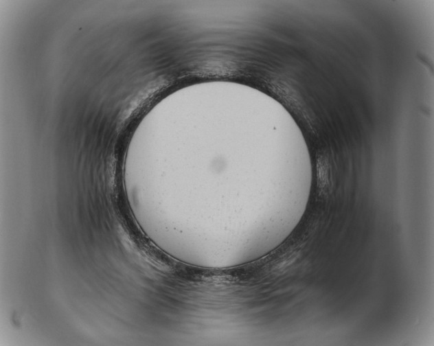 X0000102760396200809080946