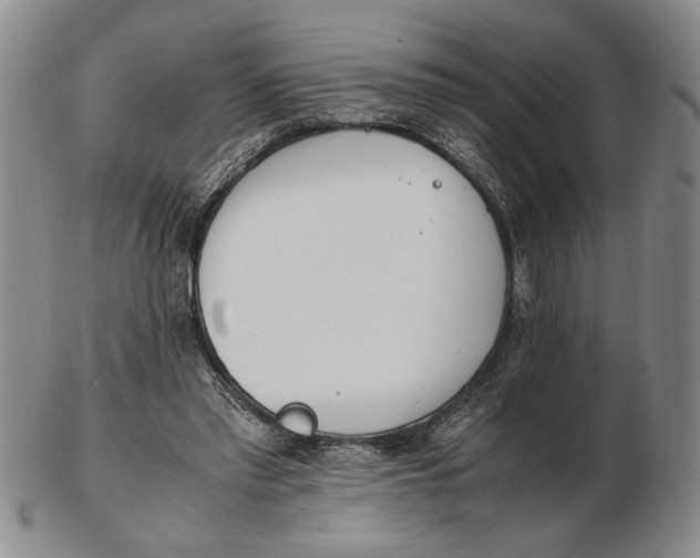 X0000102760397200809080946