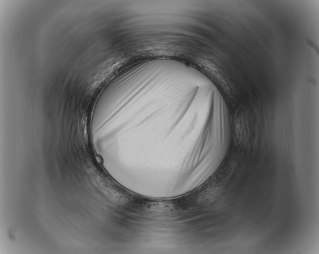 X0000102760398200809080946