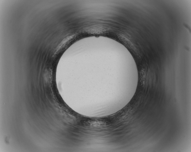 X0000102760400200809080946