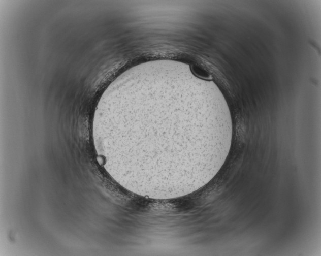 X0000102760403200809080946