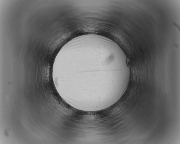 X0000102760404200809080946