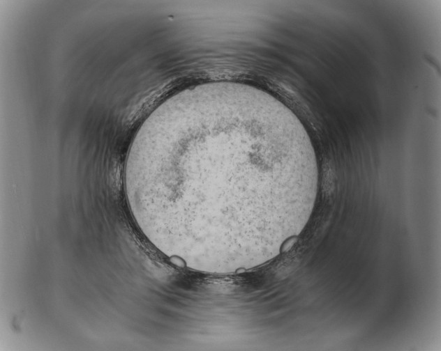 X0000102760405200809080946