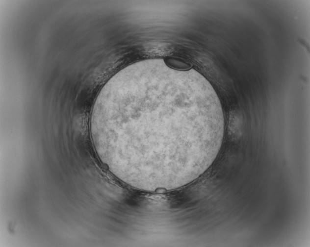 X0000102760409200809080946