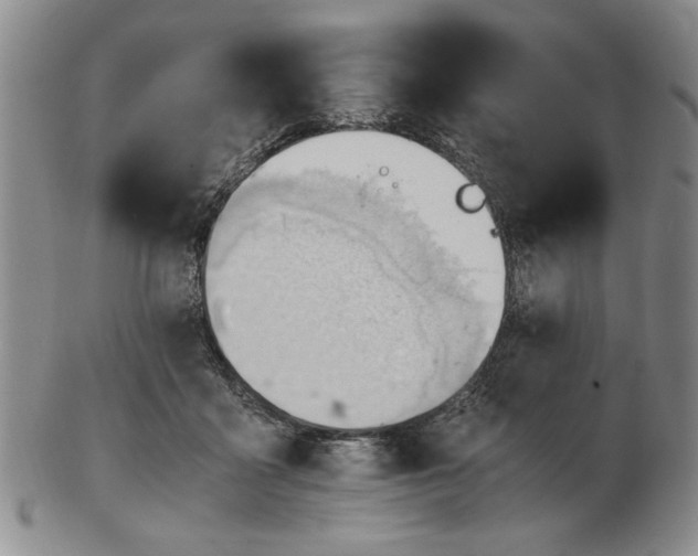 X0000102760411200809080946