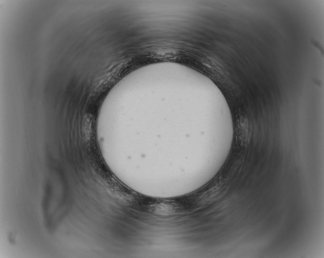 X0000102760412200809080946