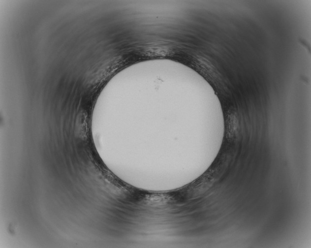 X0000102760414200809080946