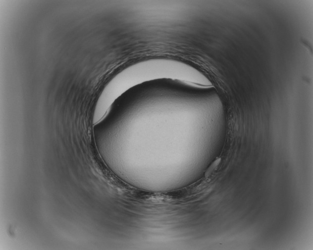 X0000102760415200809080946