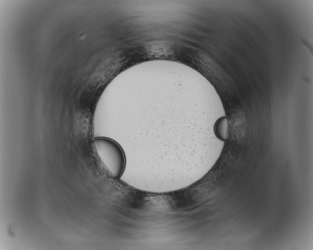 X0000102760417200809080946