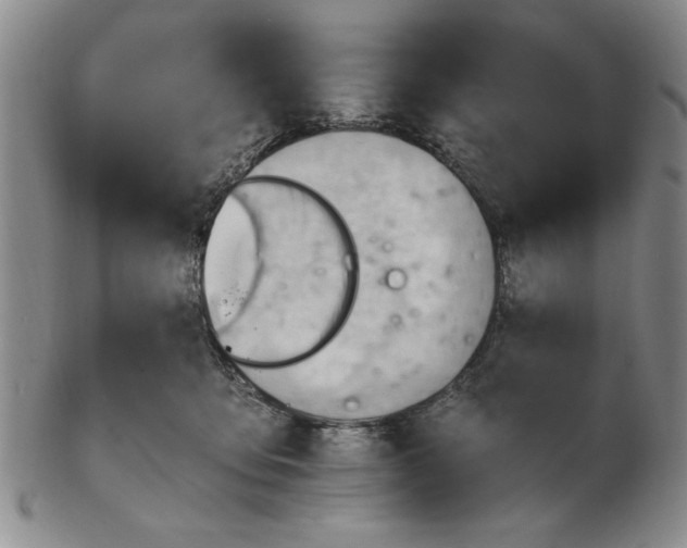 X0000102760419200809080946