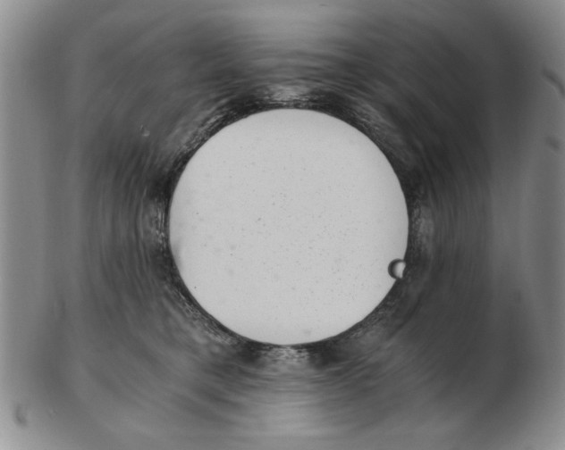 X0000102760421200809080946