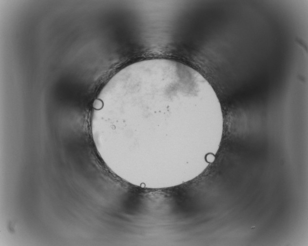 X0000102760423200809080946