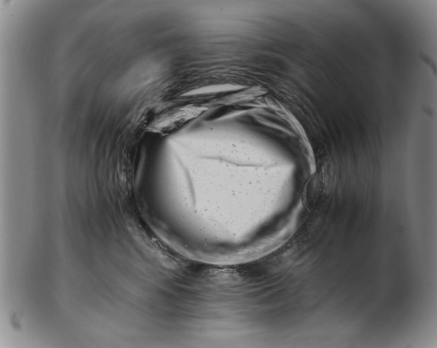 X0000102760424200809080946