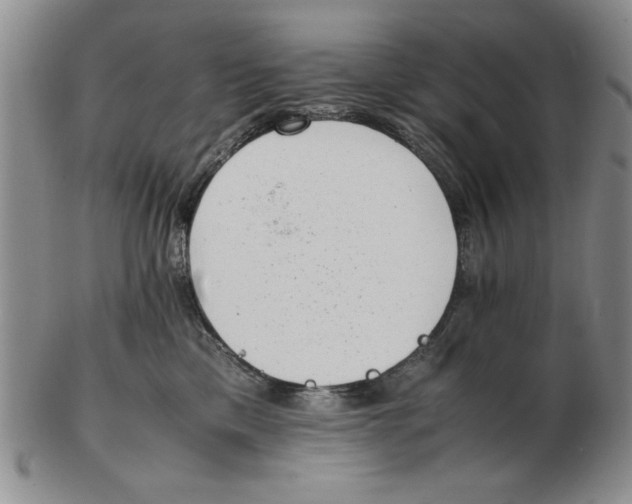 X0000102760425200809080945