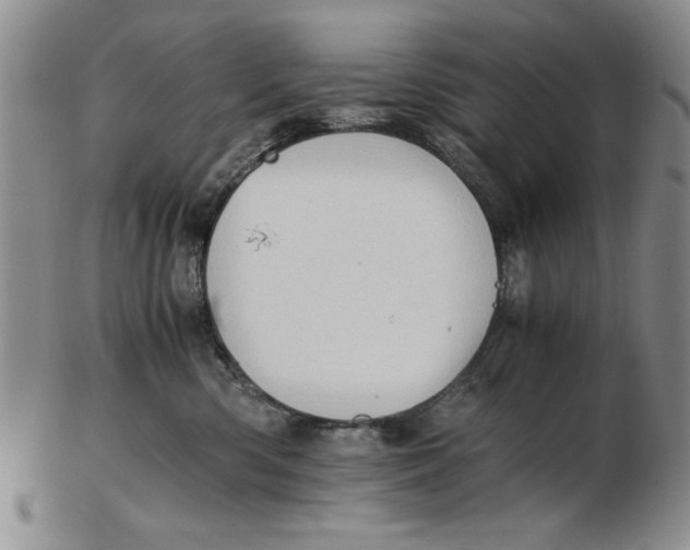 X0000102760426200809080945