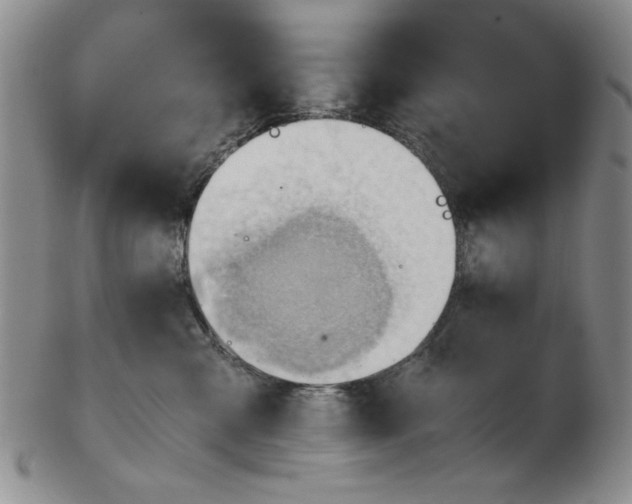 X0000102760427200809080945