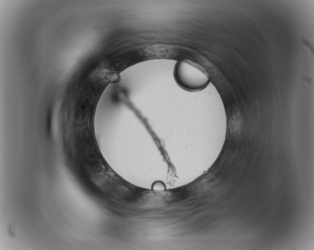 X0000102760429200809080945