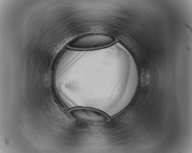 X0000102760436200809080945