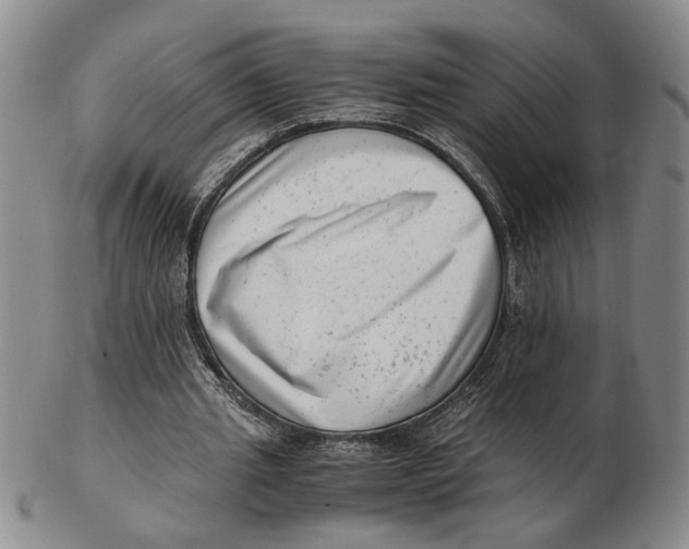 X0000102760437200809080945